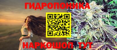 дурь Жуковский