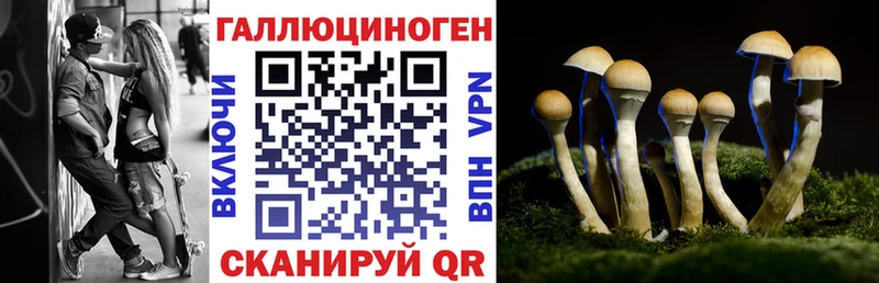 Псилоцибиновые грибы Magic Shrooms  Луховицы 